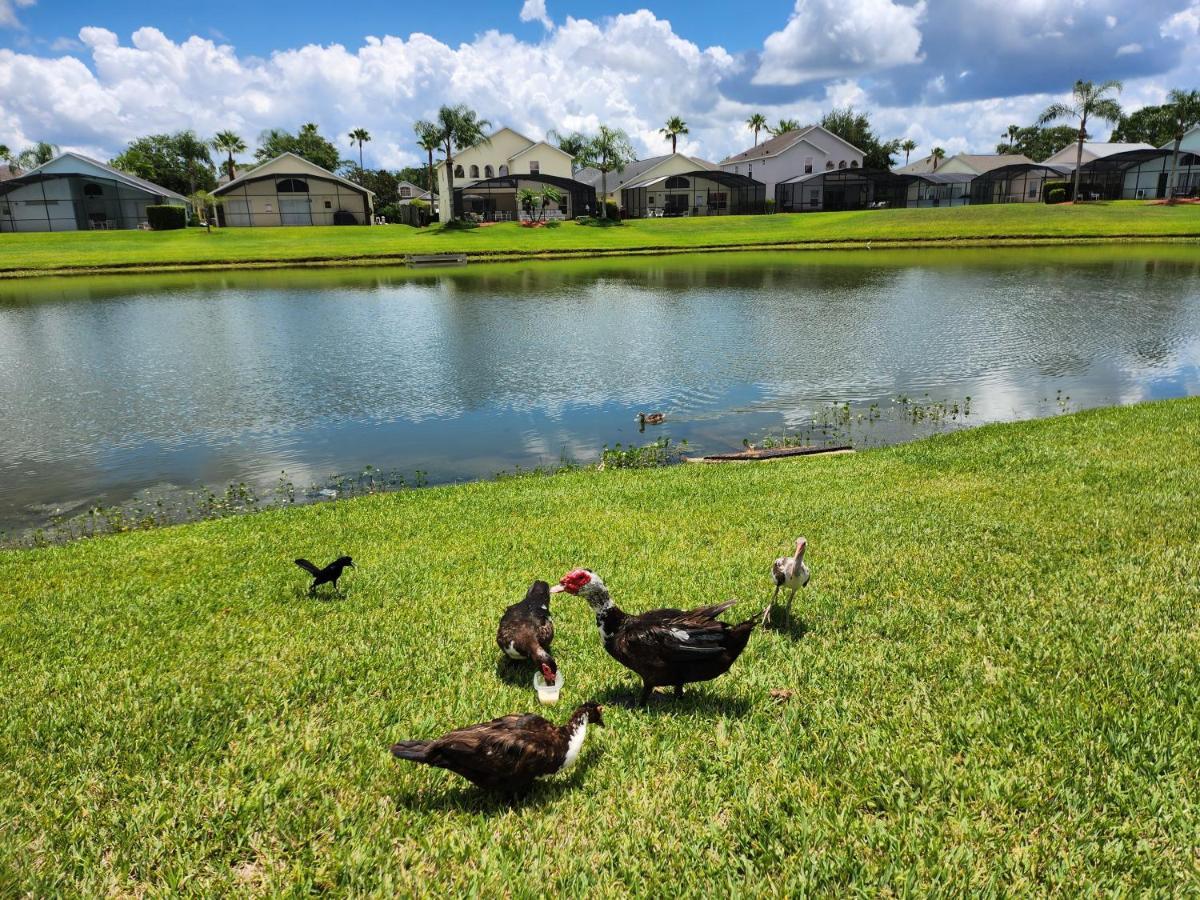 Fully Renovated, Quiet, Spacious Disney Themed Pool Home With Office Kissimmee Εξωτερικό φωτογραφία